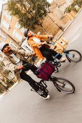 Faltrad Brompton C Line Low Cloud Metallic 12-Gang